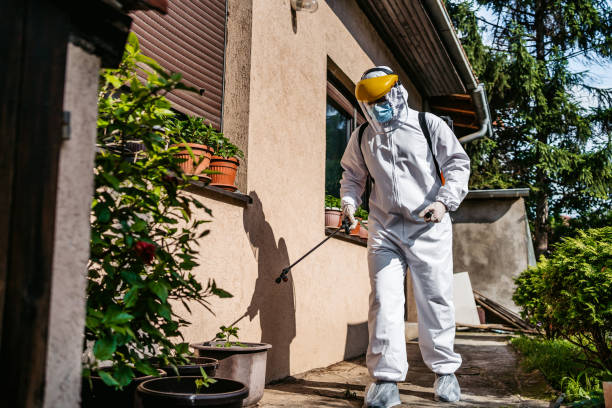 Best Affordable Pest Control Services  in Benson, AZ