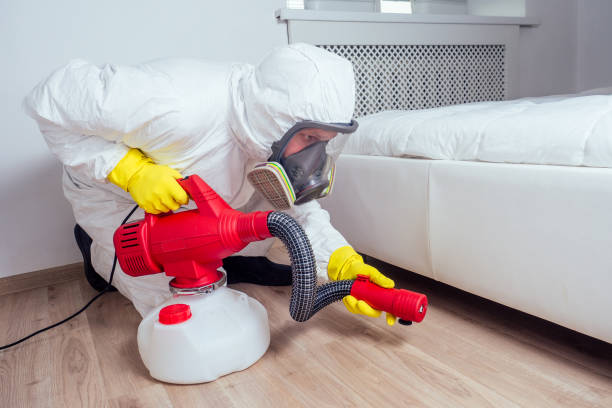 Best Best Pest Control Companies  in Benson, AZ