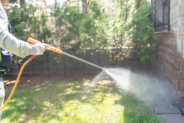Best Flea Control Services  in Benson, AZ