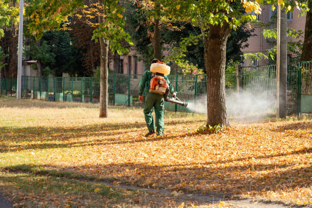 Pest Control Cost in Benson, AZ