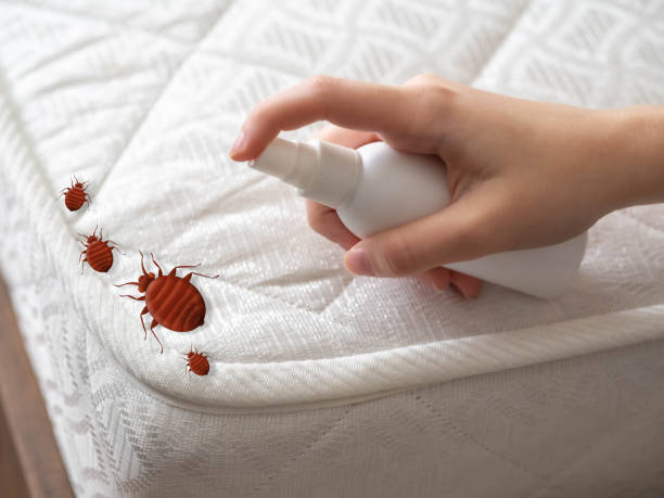 Best Pest Removal Services  in Benson, AZ